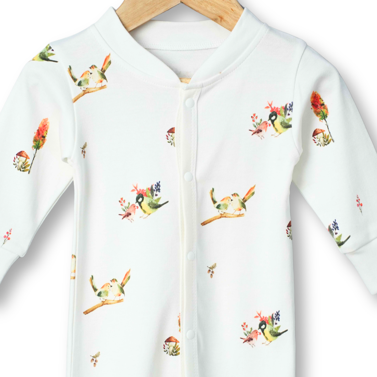 Organic Cotton Footed Onesie (Pack of 2)
