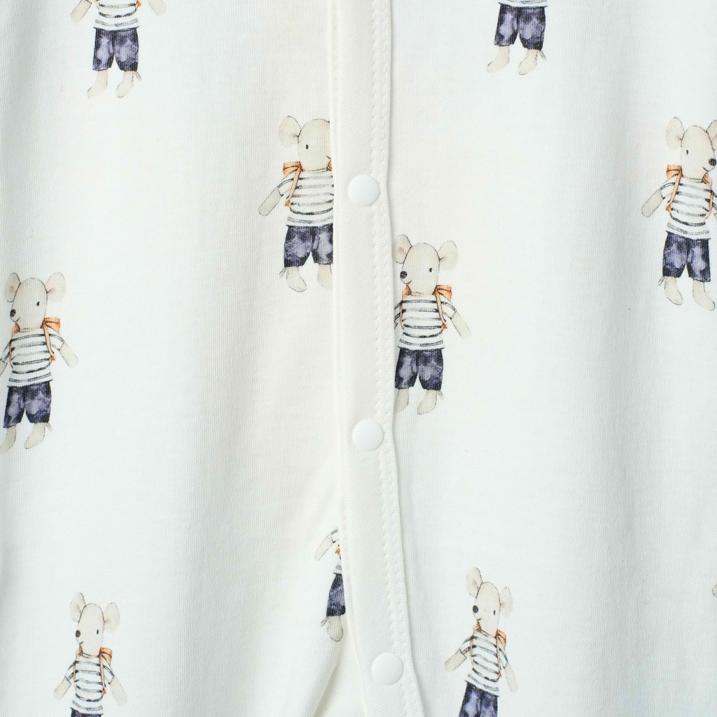 Organic Cotton Footed Onesie (Pack of 2)